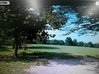 rps20150406_125517.jpg