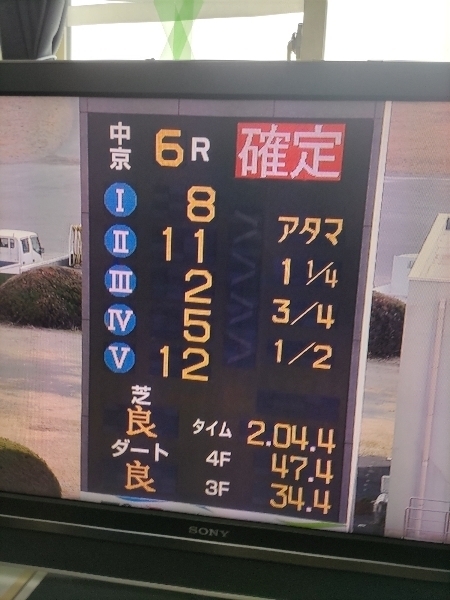 2023-01-29T13:13:49.jpg