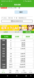 Screenshot_20250312-205516_copy_600x1351.png